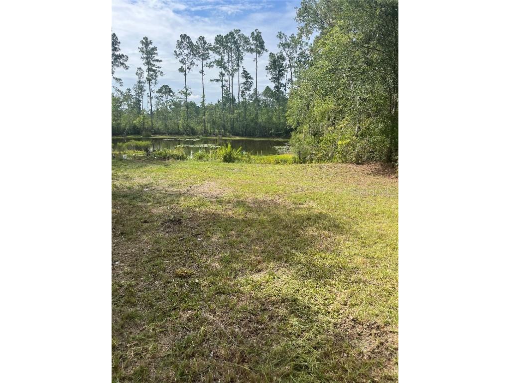 11226 Clarence Bennett Road Sanderson FL 32087 G5100797 image6