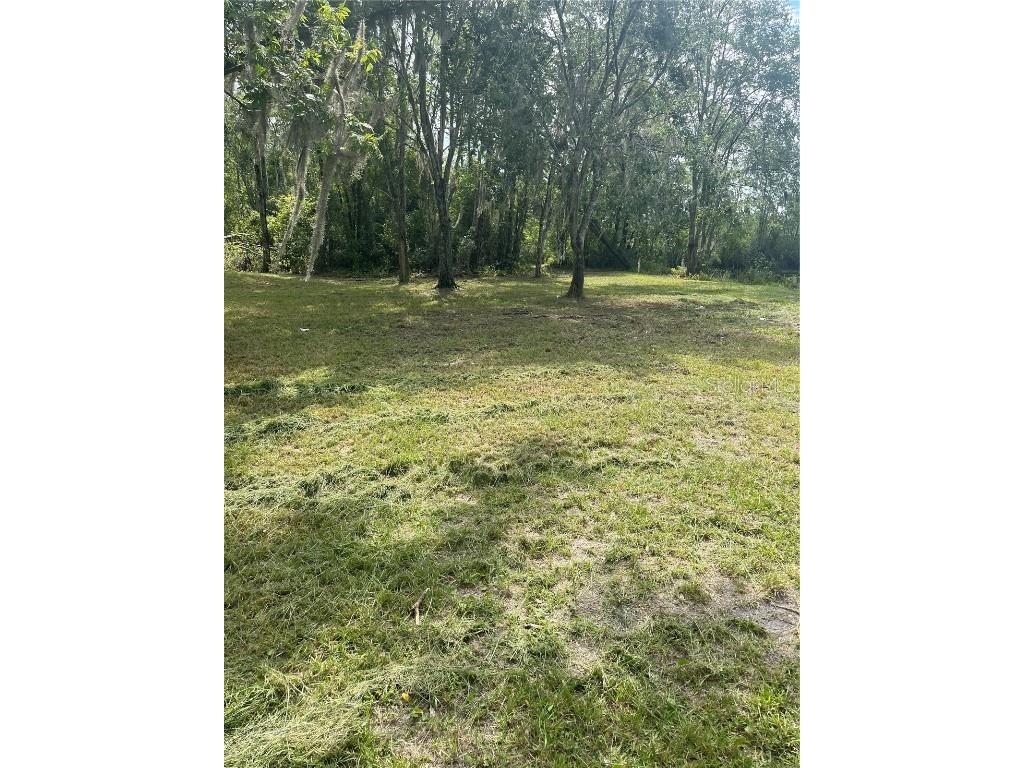 11226 Clarence Bennett Road Sanderson FL 32087 G5100797 image7