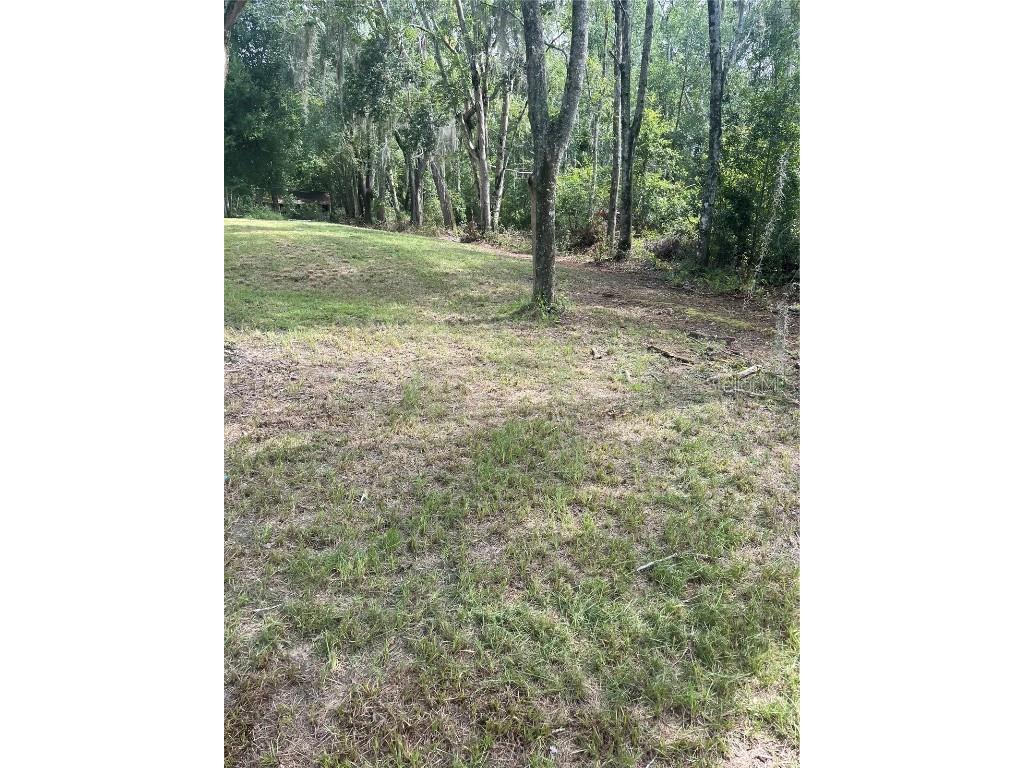 11226 Clarence Bennett Road Sanderson FL 32087 G5100797 image9