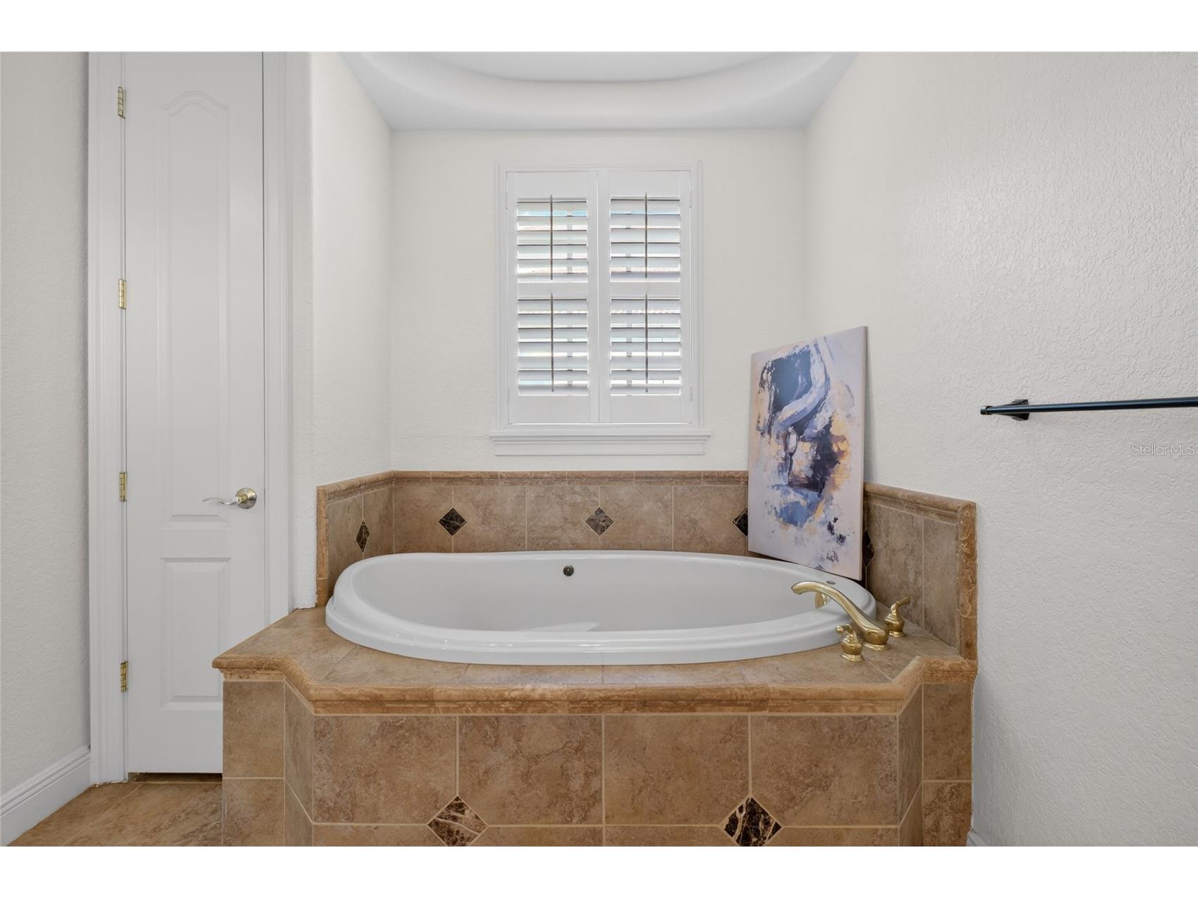 11226 Macaw Court Windermere FL 34786 O6393210 image26