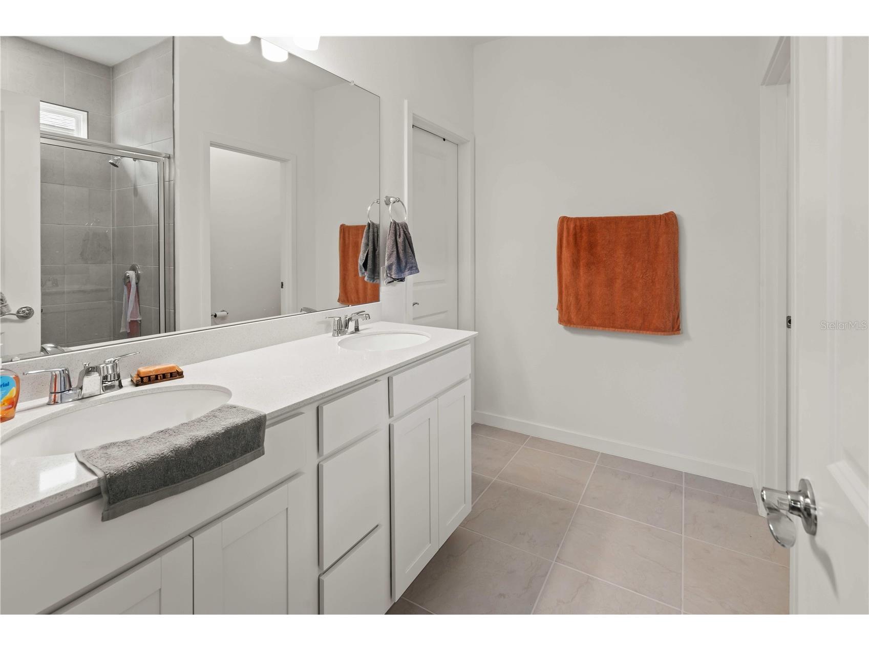 11226 Sycamore Glen Loop Thonotosassa FL 33592 TB8530346 image11