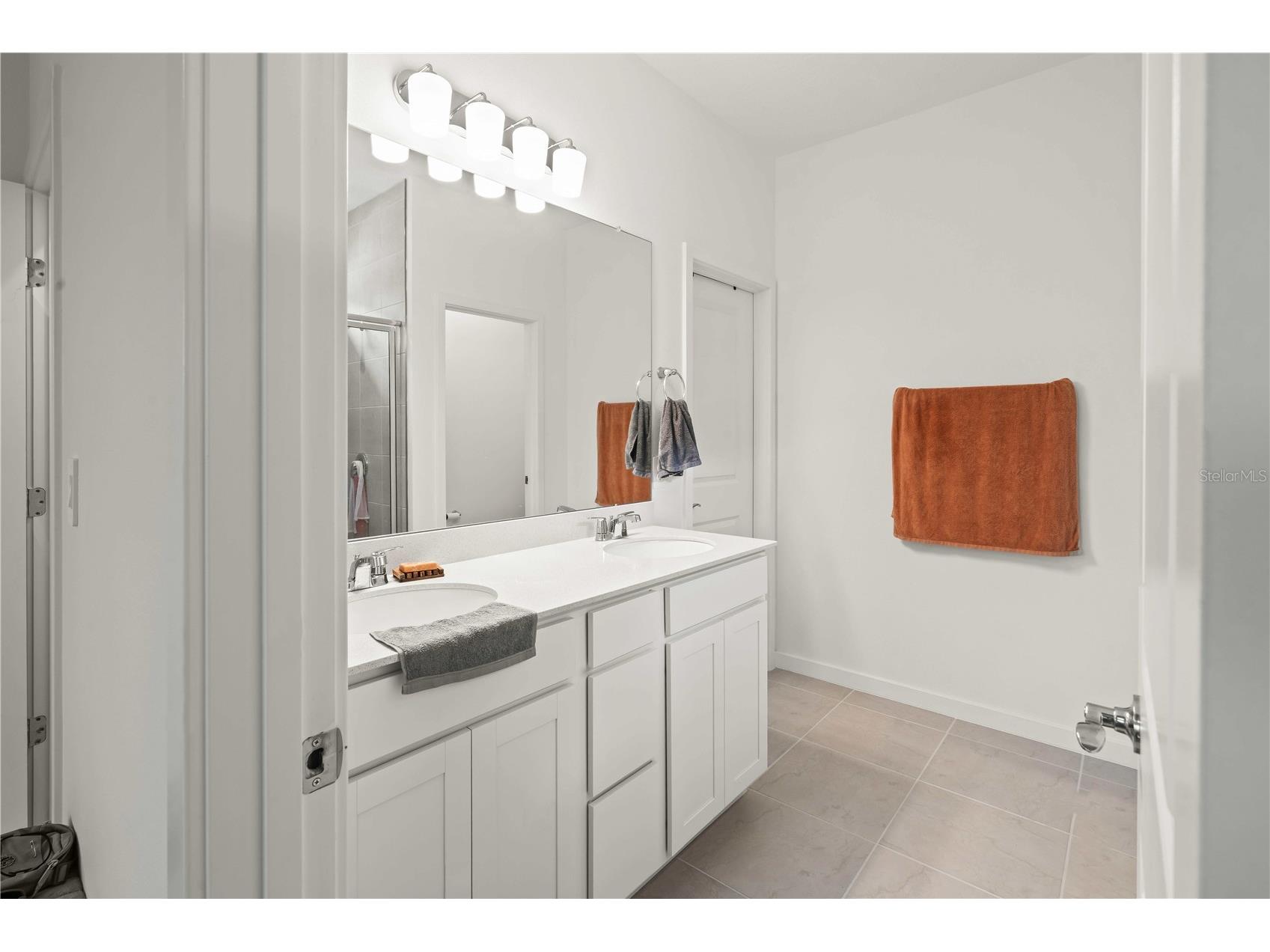 11226 Sycamore Glen Loop Thonotosassa FL 33592 TB8530346 image12