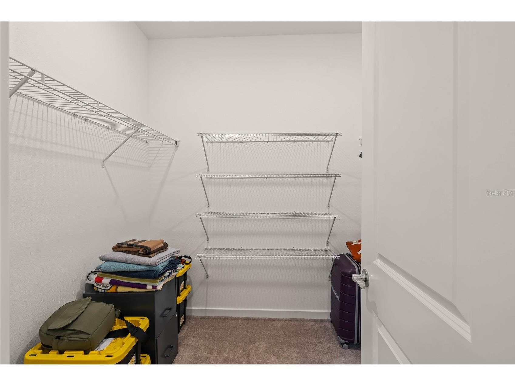 11226 Sycamore Glen Loop Thonotosassa FL 33592 TB8530346 image14
