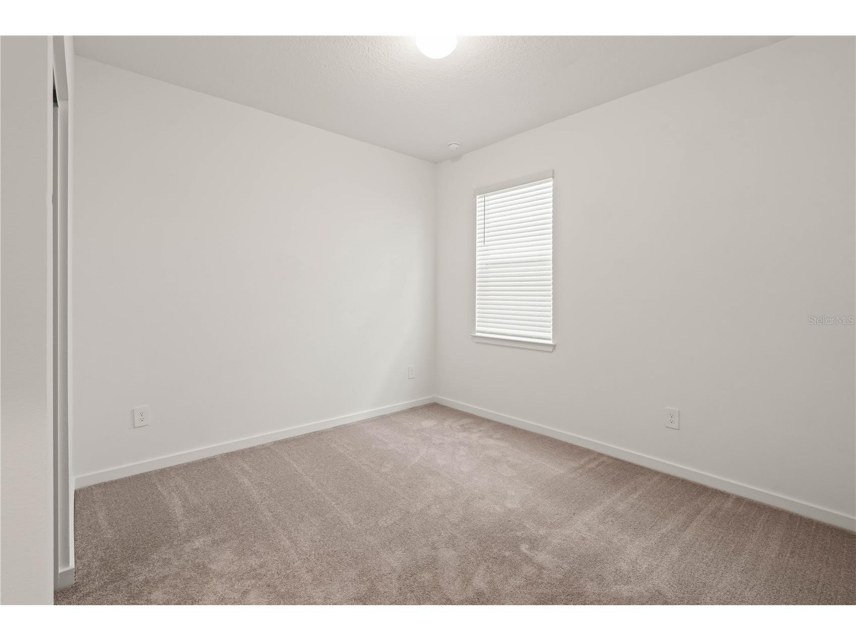 11226 Sycamore Glen Loop Thonotosassa FL 33592 TB8530346 image21
