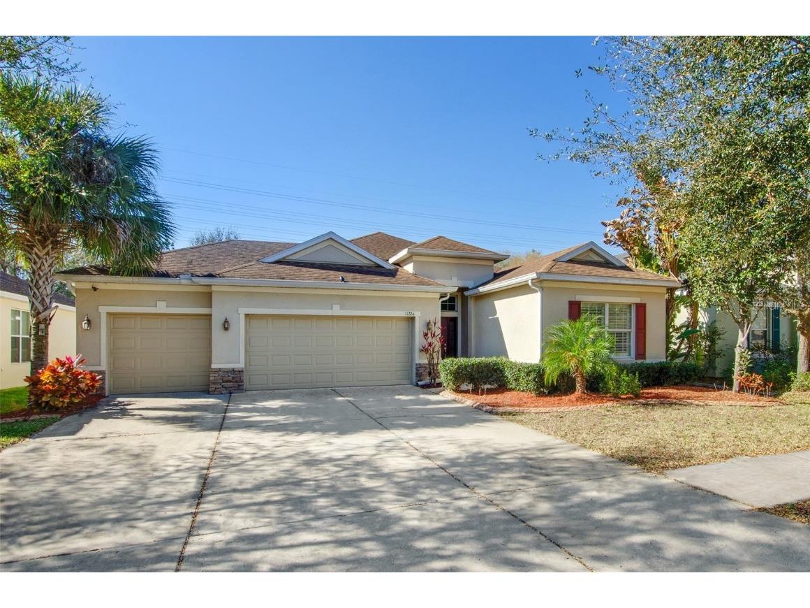 11226 Wembley Landing Drive Lithia FL 33547 T3358119 image1