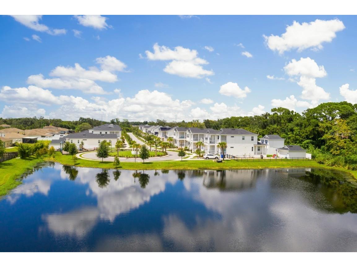 11227 Moultrie Place Tampa FL 33625 TB8380657 image41