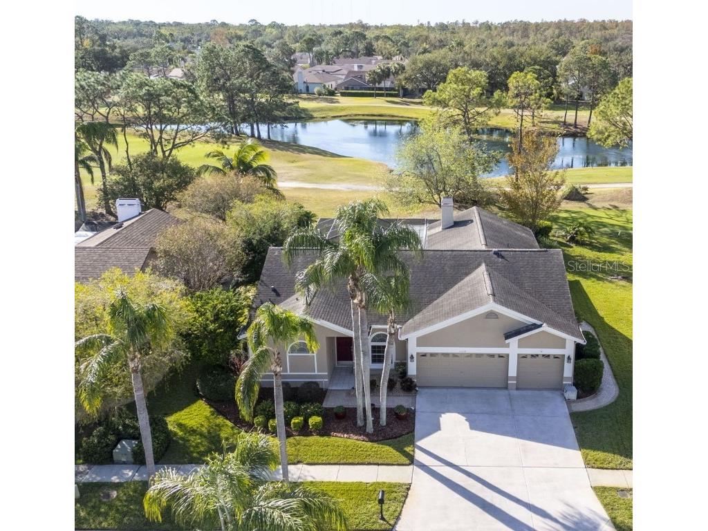 11228 Bloomington Drive Tampa FL 33635 TB8329068 image1