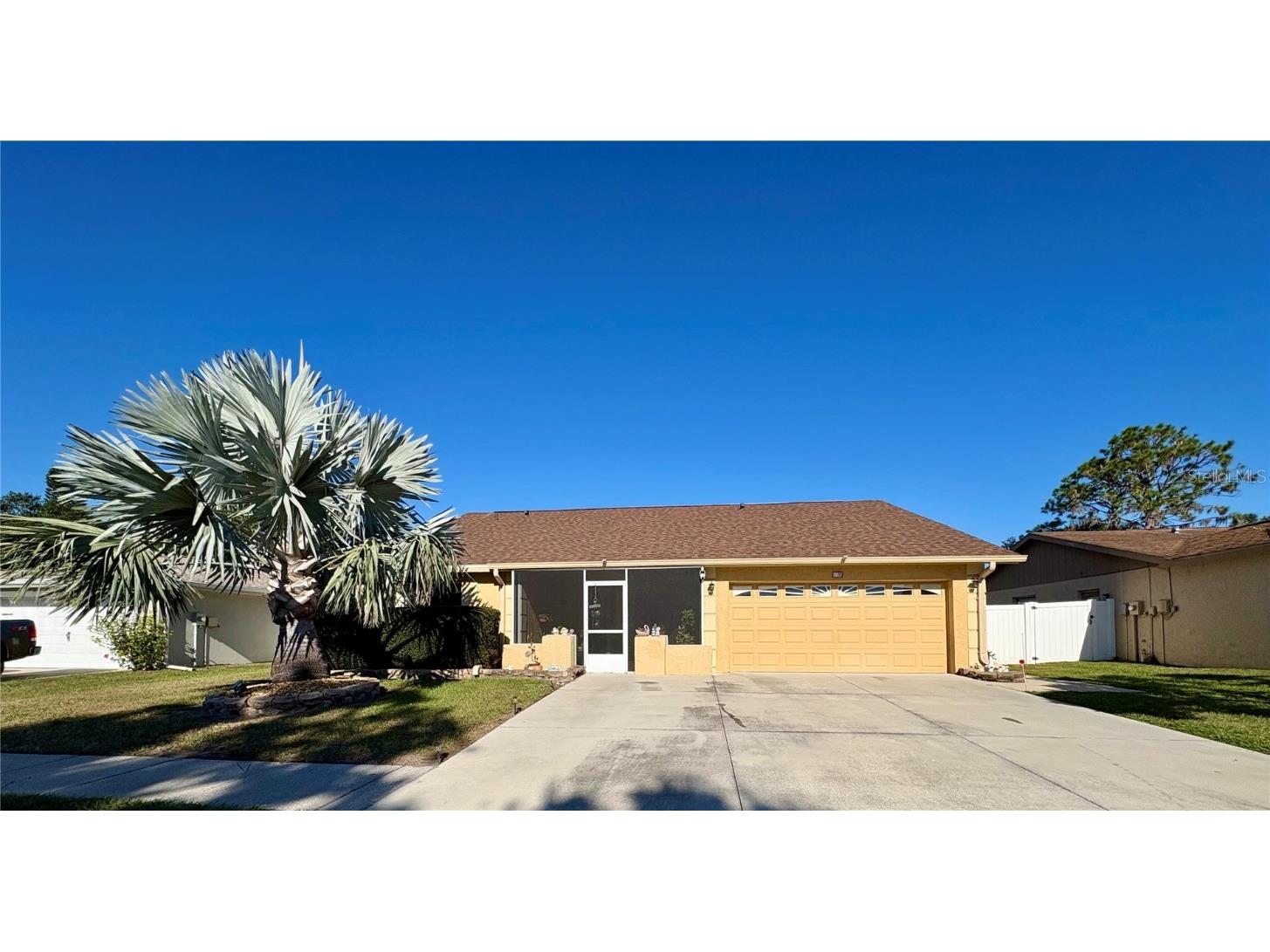 11228 Fiddlewood Drive Riverview FL 33579 TB8439433 image2