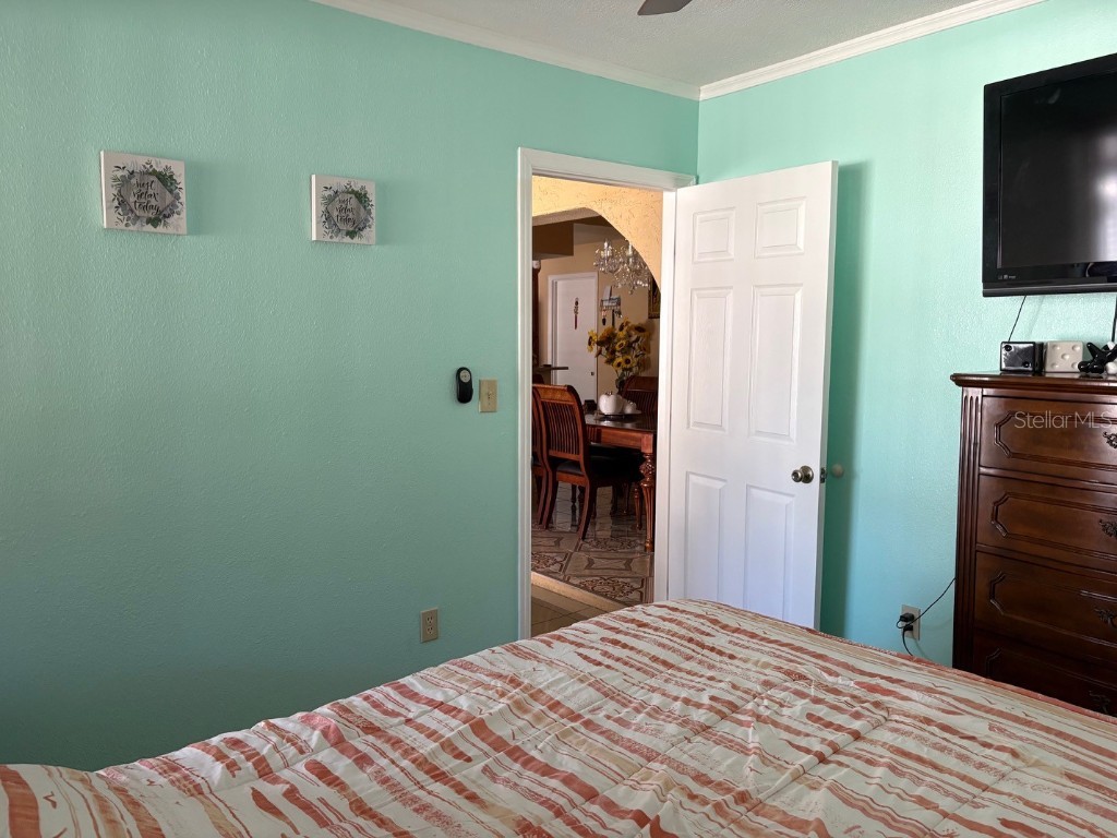 11228 Fiddlewood Drive Riverview FL 33579 TB8439433 image25