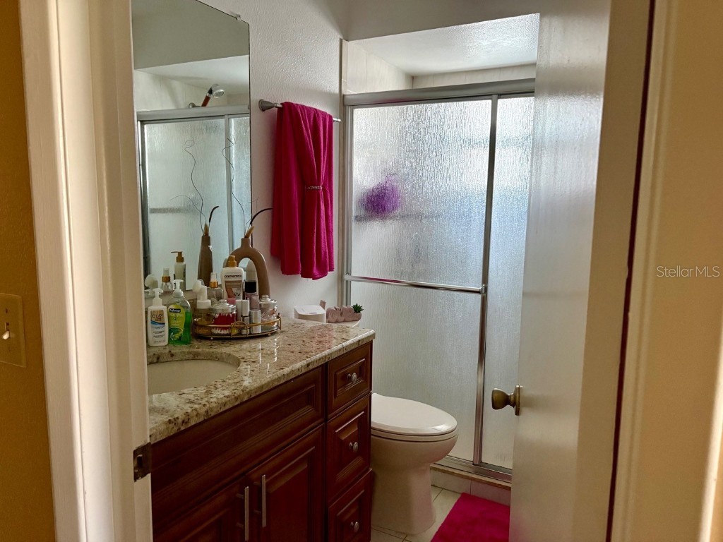 11228 Fiddlewood Drive Riverview FL 33579 TB8439433 image31