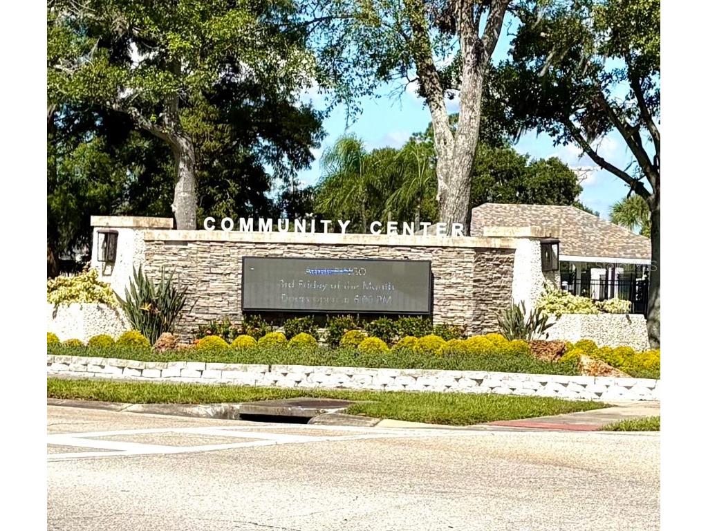 11228 Fiddlewood Drive Riverview FL 33579 TB8439433 image59