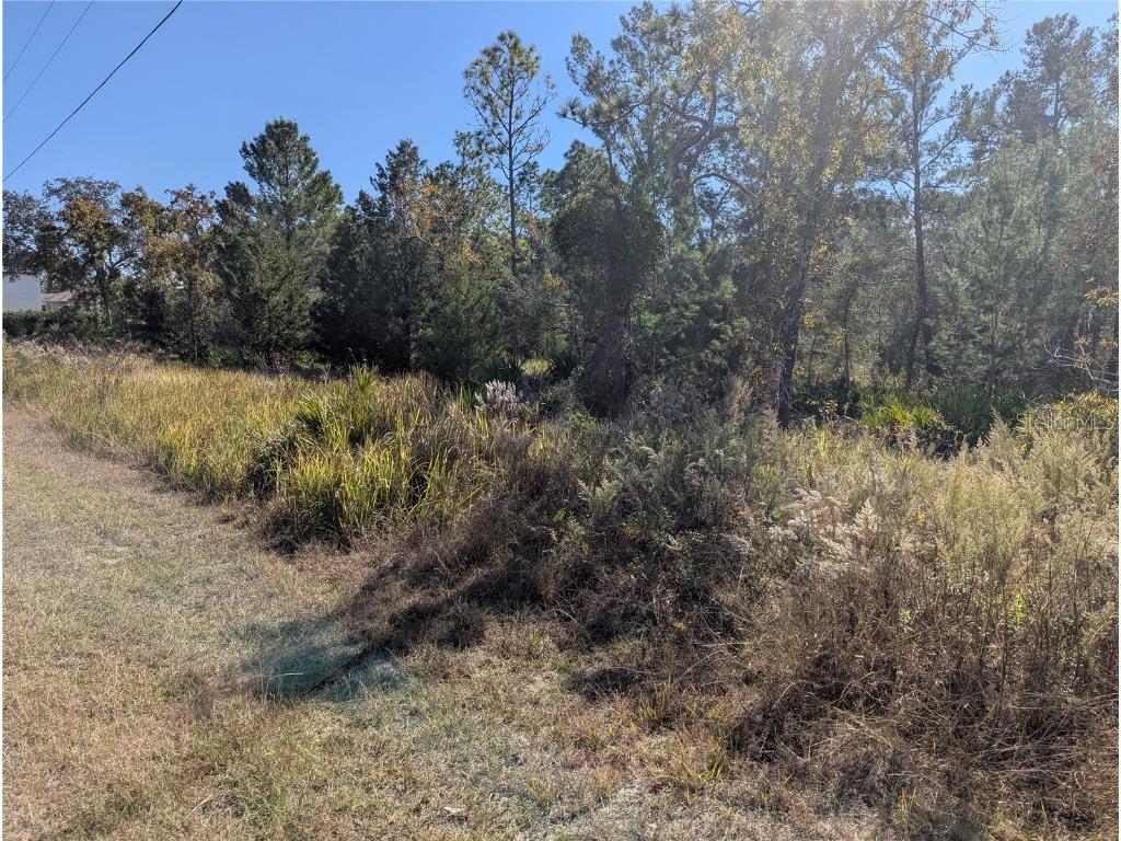 11228 Fool Duck Avenue Weeki Wachee FL 34613 TB8448733 image2