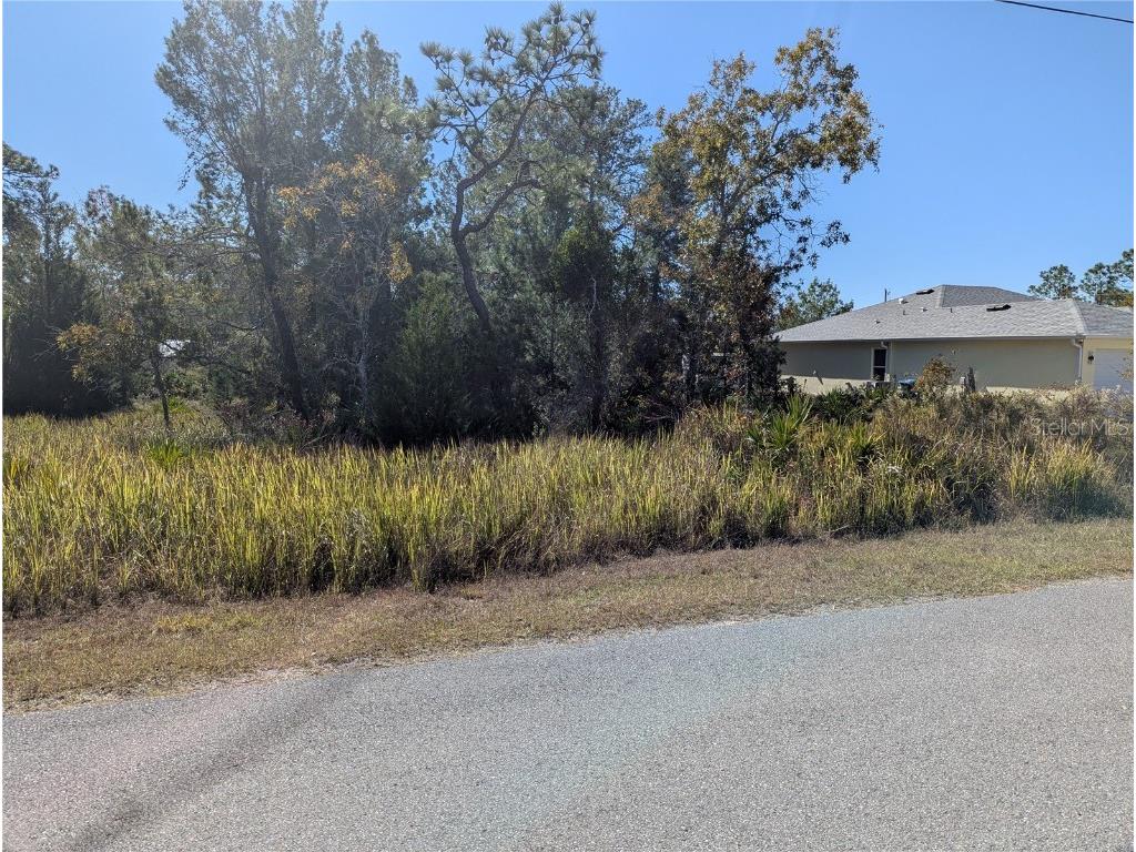 11228 Fool Duck Avenue Weeki Wachee FL 34613 TB8448733 image3