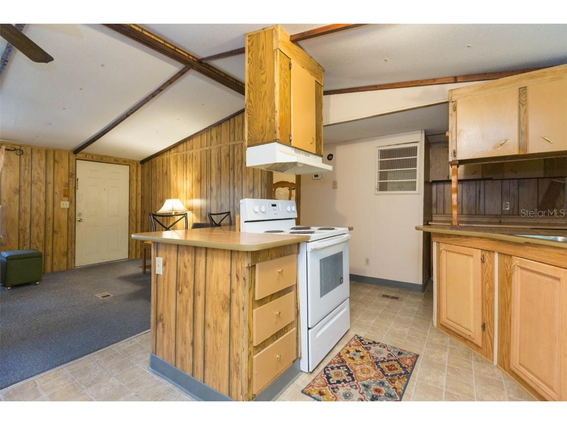 11228 Marlborough Drive Seffner FL 33584 TB8439415 image12