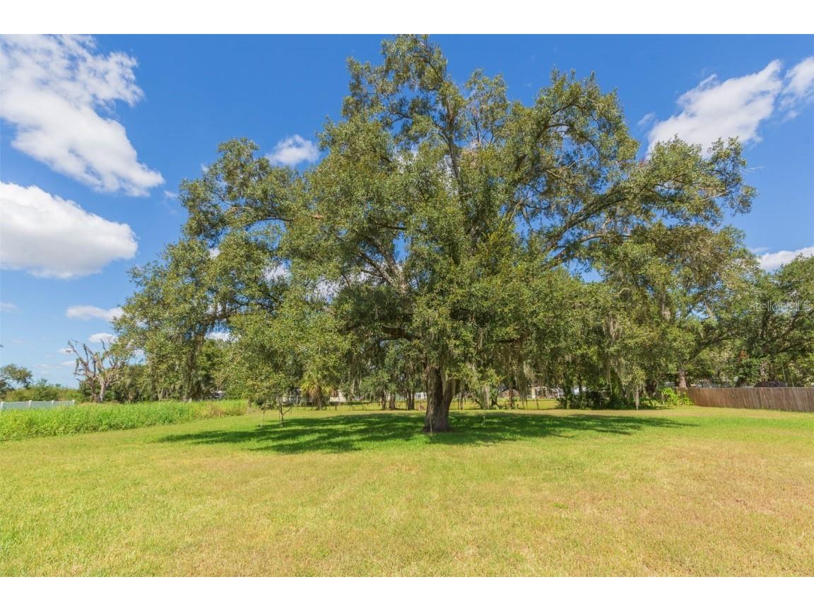 11228 Marlborough Drive Seffner FL 33584 TB8439415 image30