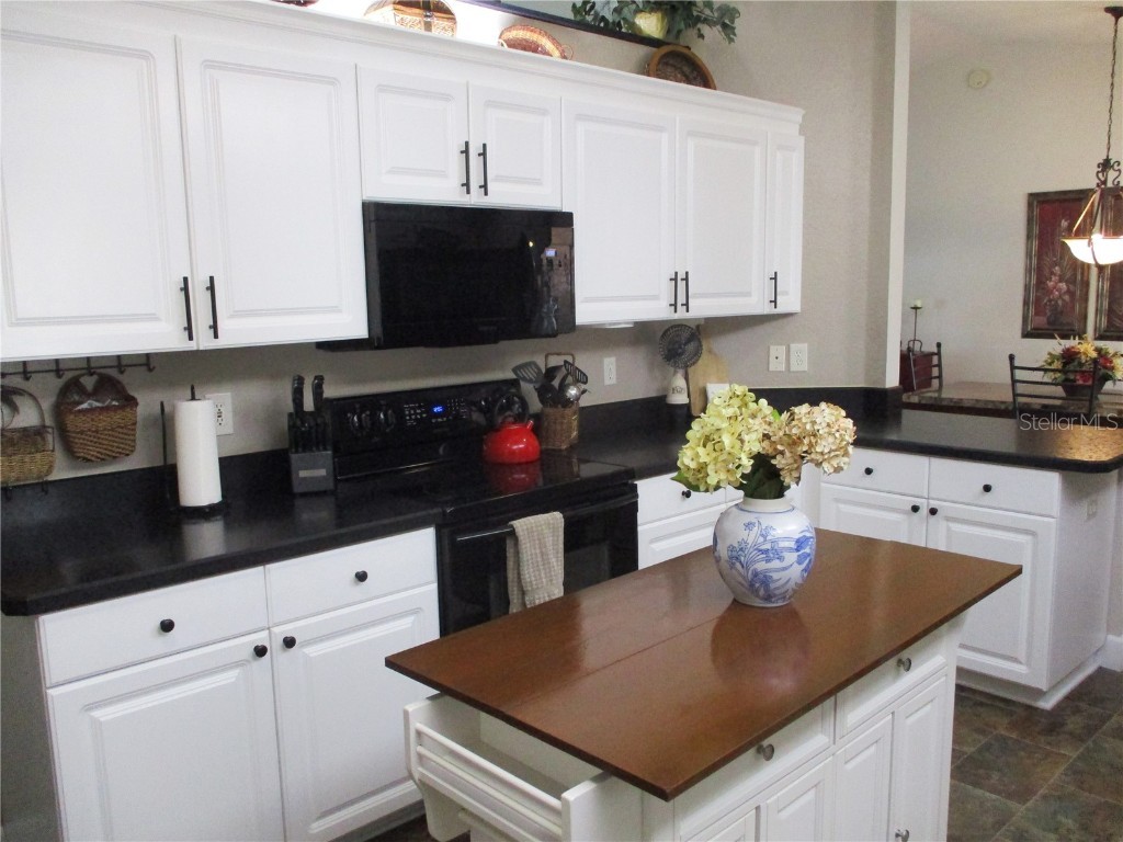 11228 SW 138th Place Dunnellon FL 34432 OM712745 image10