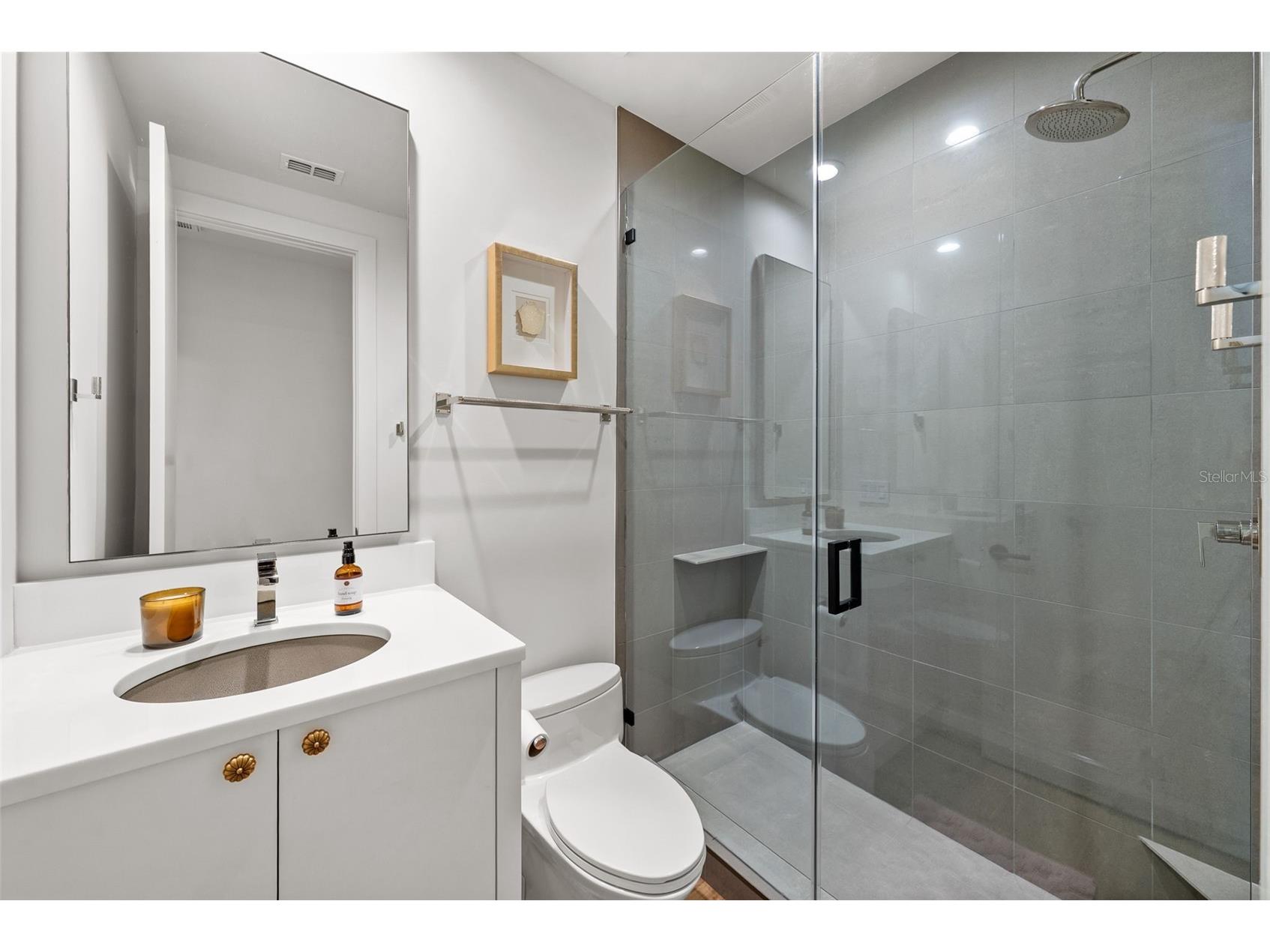 1123 Abbeys Way Tampa FL 33602 - SEDDON CHANNEL TB8502999 image37
