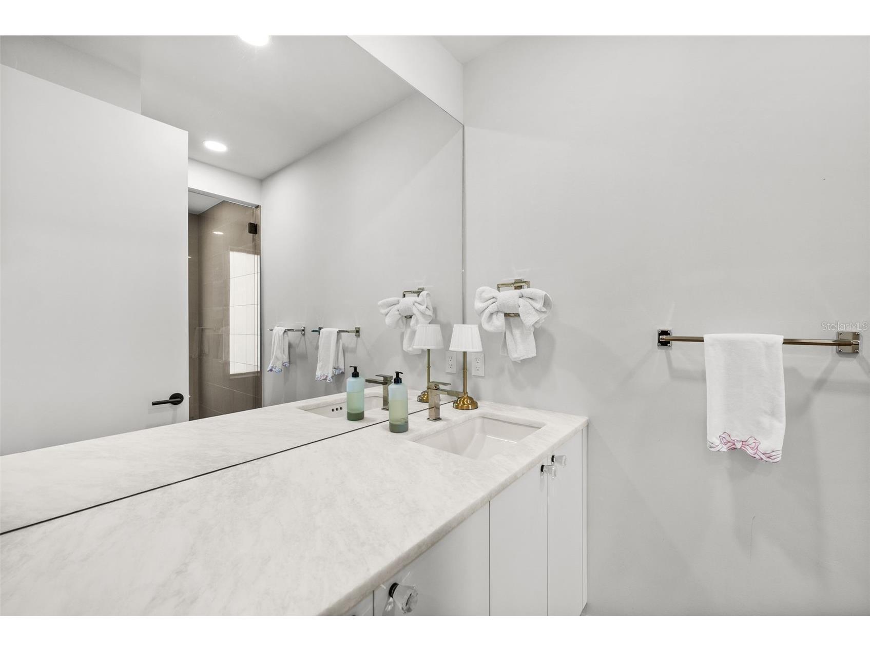1123 Abbeys Way Tampa FL 33602 - SEDDON CHANNEL TB8502999 image40