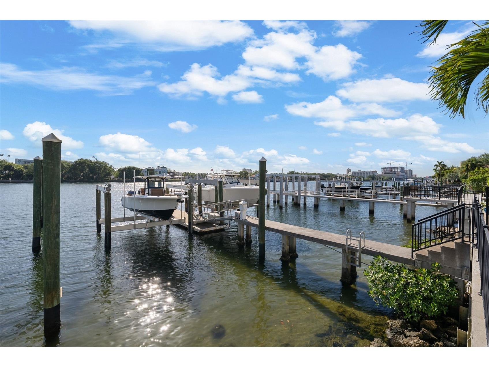 1123 Abbeys Way Tampa FL 33602 - SEDDON CHANNEL TB8502999 image51