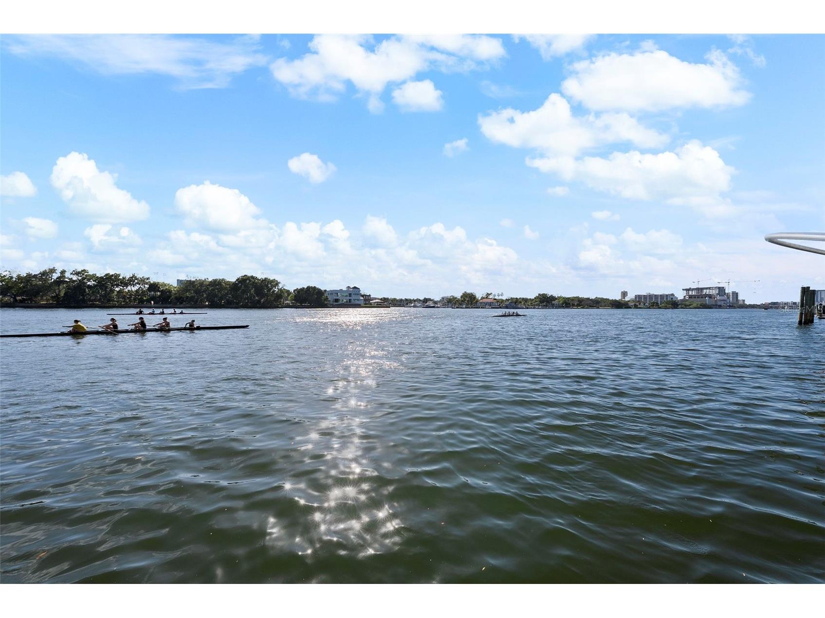 1123 Abbeys Way Tampa FL 33602 - SEDDON CHANNEL TB8502999 image53