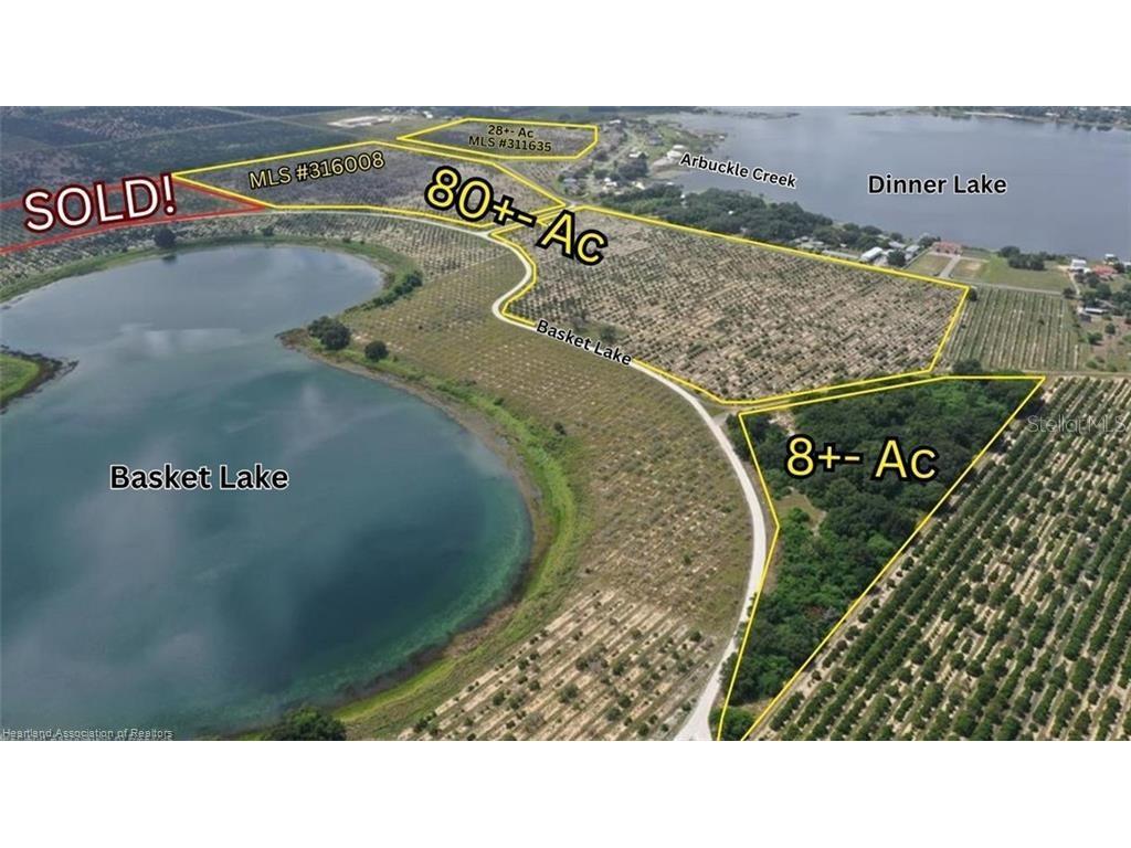 1123 Basket Lake Road Avon Park FL 33825 L4954201 image1