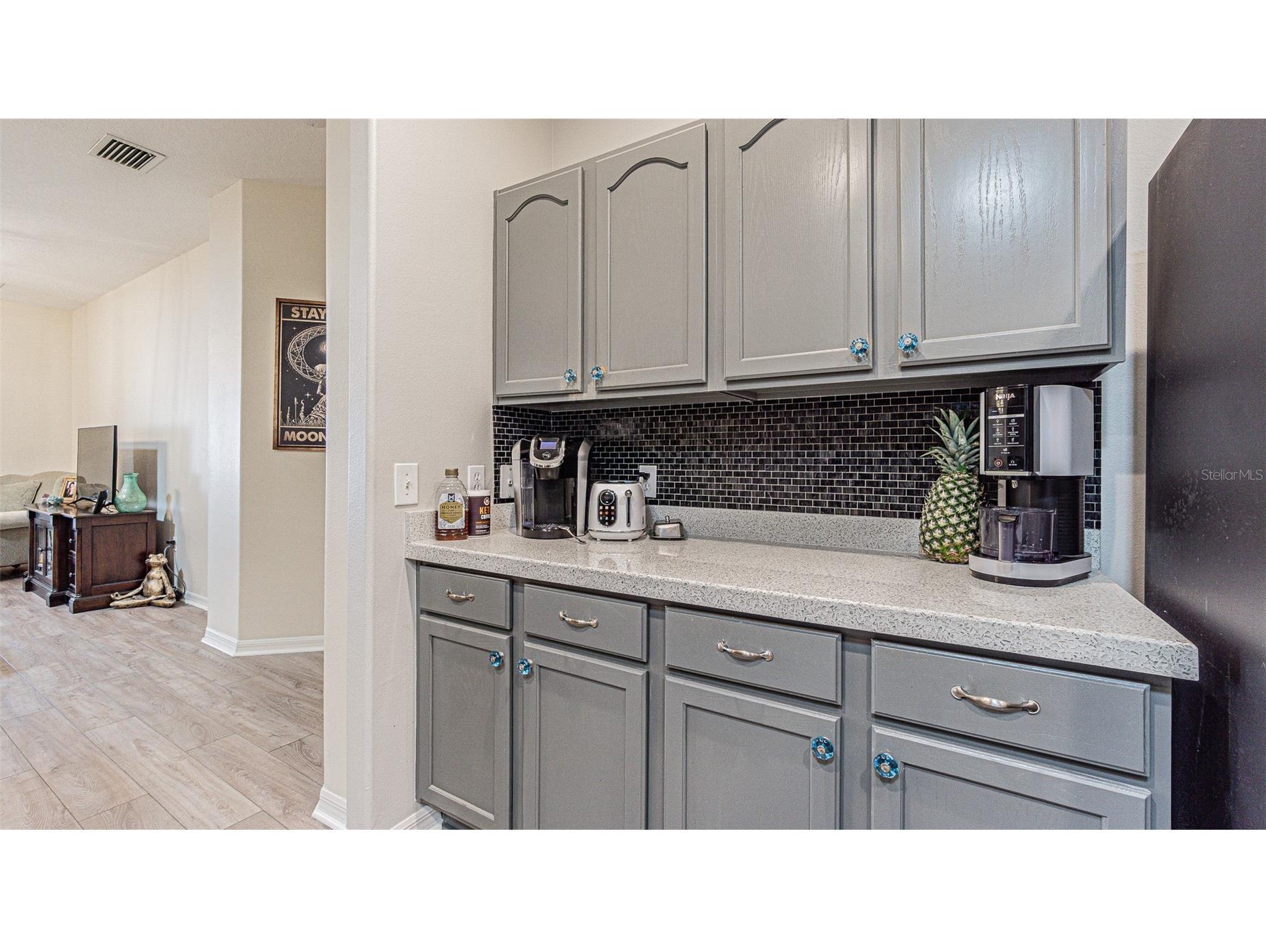 1123 Bensbrooke Drive Wesley Chapel FL 33543 TB8487735 image14