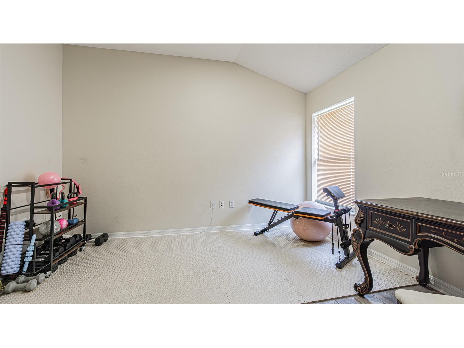 1123 Bensbrooke Drive Wesley Chapel FL 33543 TB8487735 image23