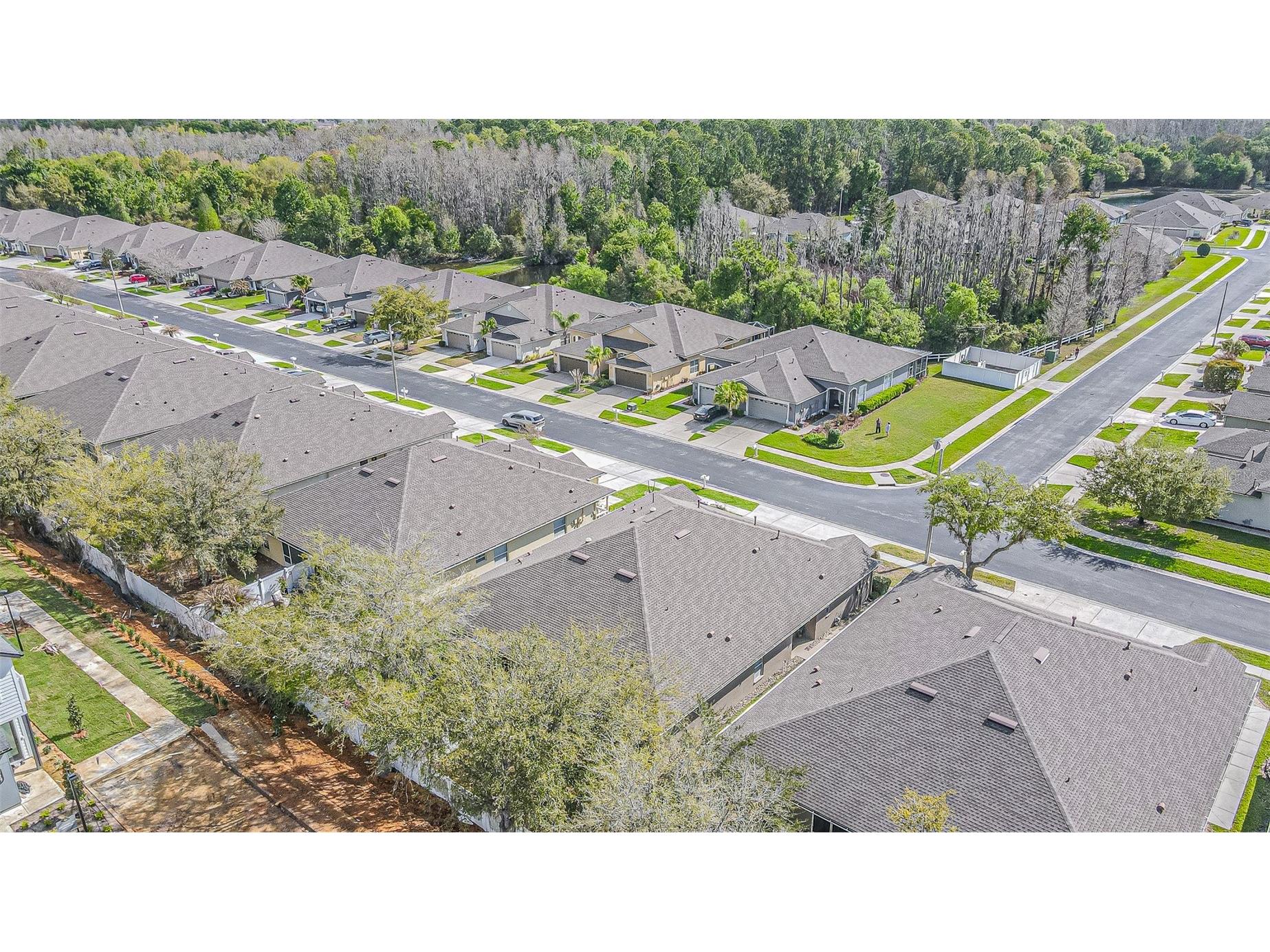 1123 Bensbrooke Drive Wesley Chapel FL 33543 TB8487735 image29
