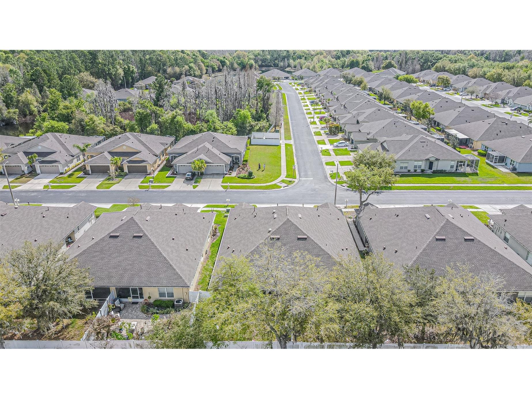 1123 Bensbrooke Drive Wesley Chapel FL 33543 TB8487735 image32