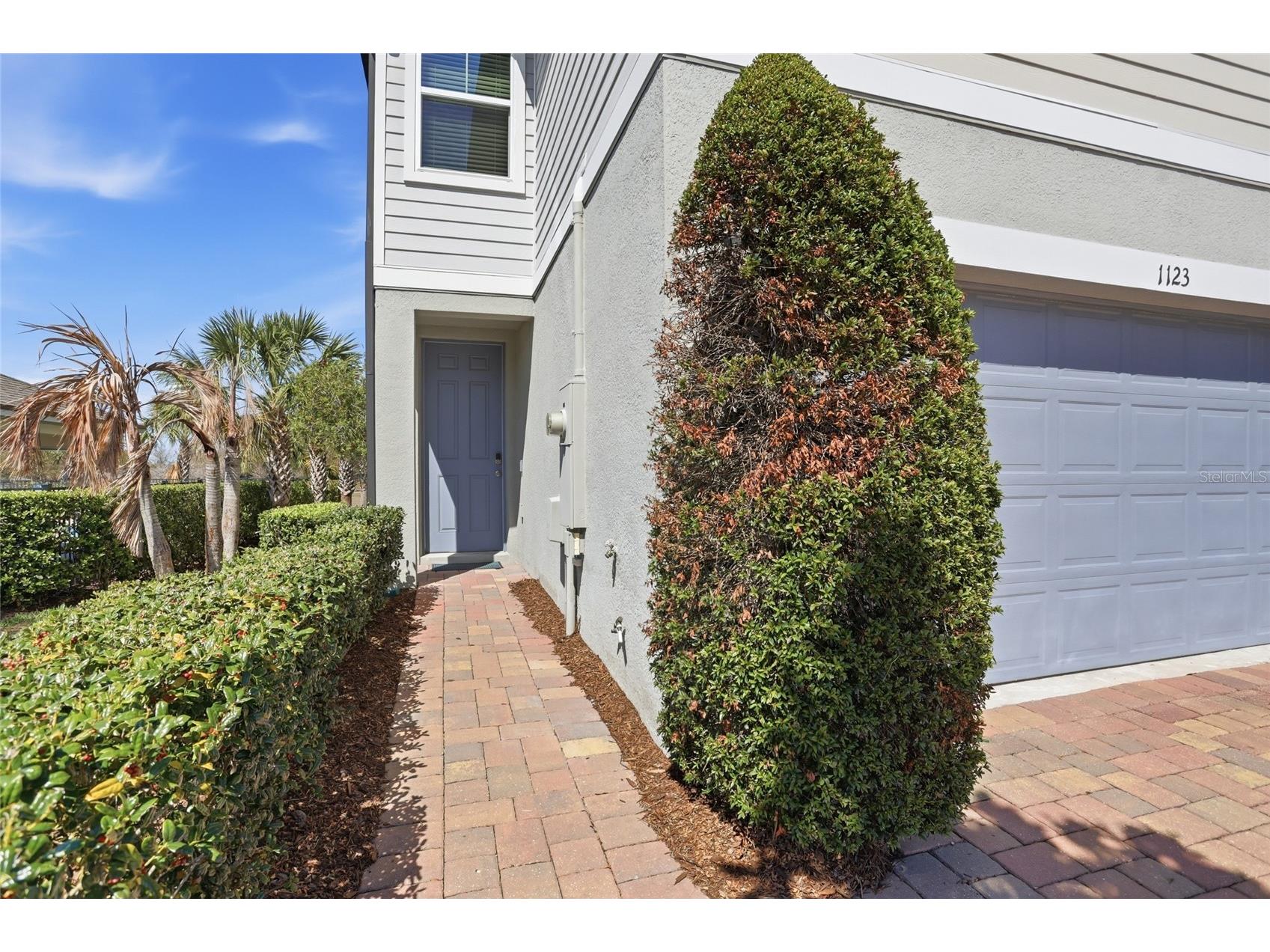 1123 Desert Candle Drive Ocoee FL 34761 O6390016 image5