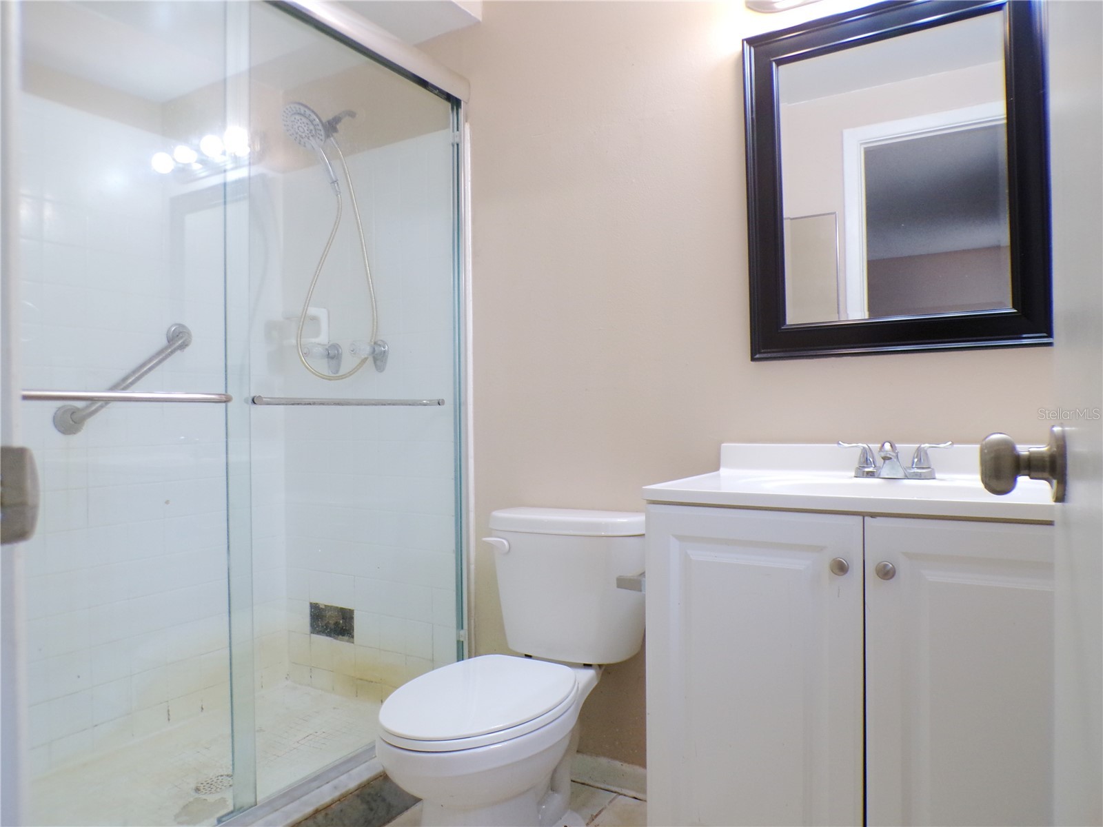 1123 Foggy Ridge Parkway Lutz FL 33559 TB8493345 image12