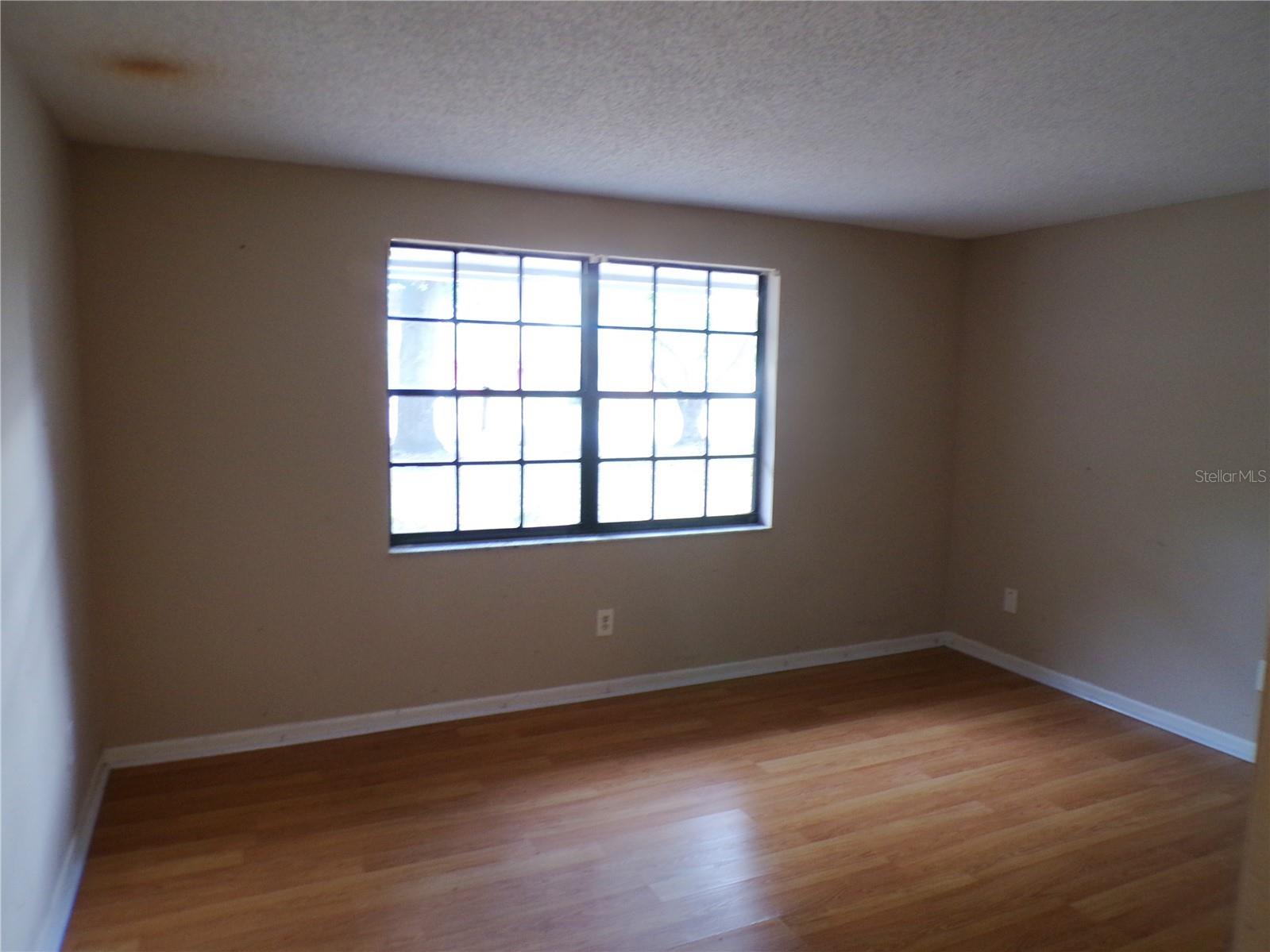 1123 Foggy Ridge Parkway Lutz FL 33559 TB8493345 image13