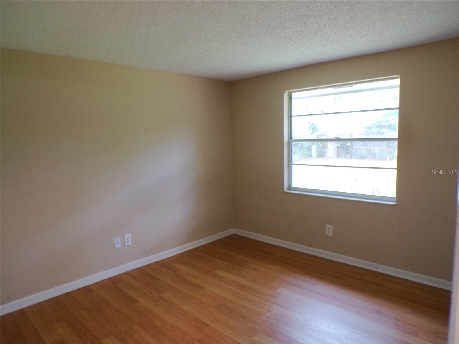 1123 Foggy Ridge Parkway Lutz FL 33559 TB8493345 image16