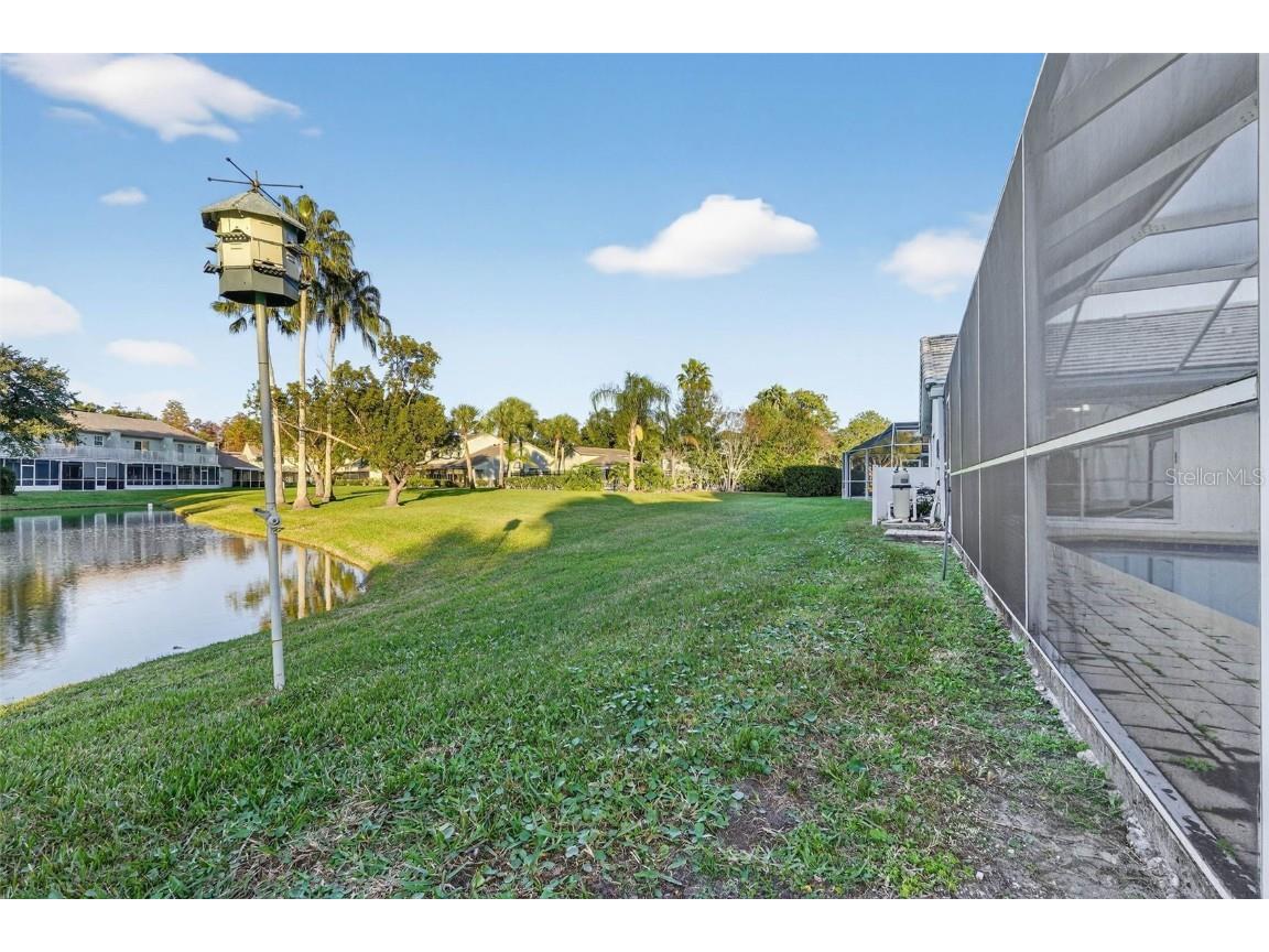 1123 Hounds Run Safety Harbor FL 34695 TB8460116 image87