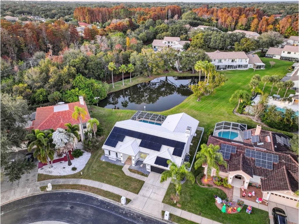 1123 Hounds Run Safety Harbor FL 34695 TB8460116 image97