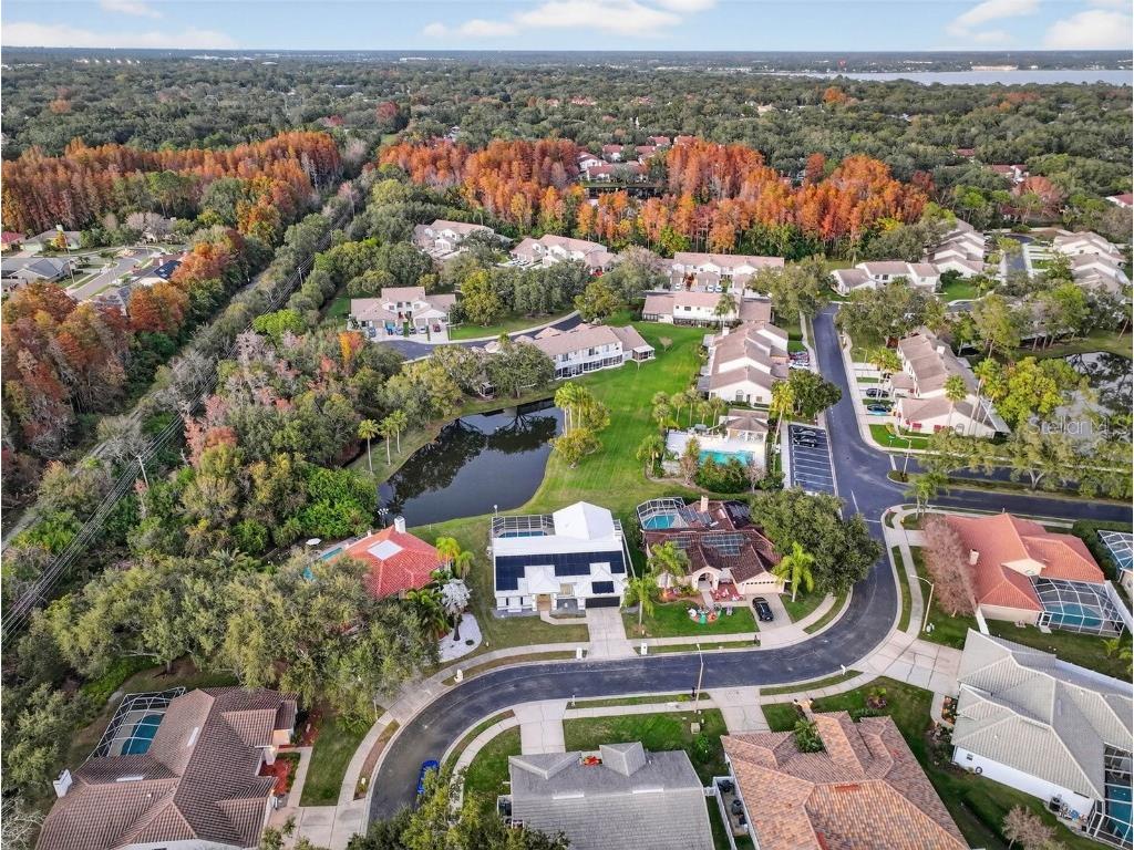 1123 Hounds Run Safety Harbor FL 34695 TB8460116 image98