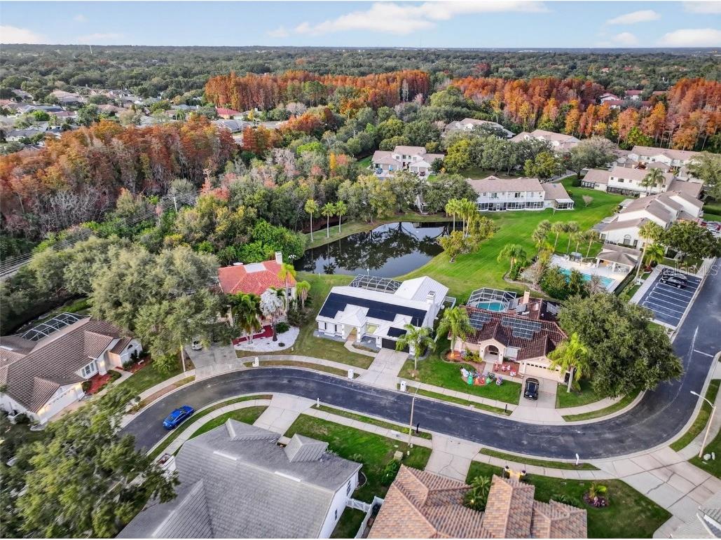 1123 Hounds Run Safety Harbor FL 34695 TB8460116 image99