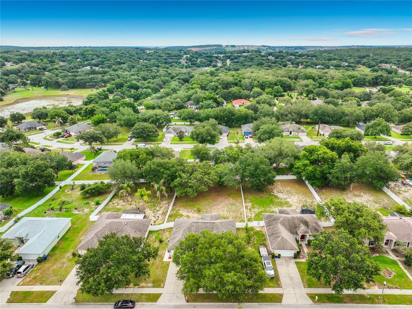 1123 Lakeview Oaks Drive Minneola FL 34715 S5151017 image66