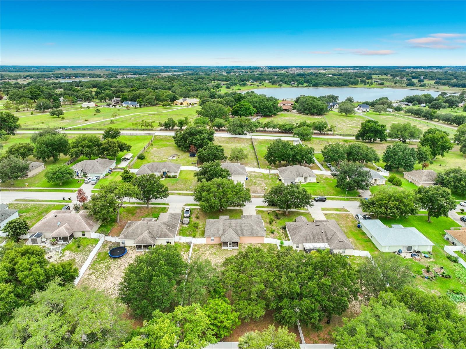 1123 Lakeview Oaks Drive Minneola FL 34715 S5151017 image68