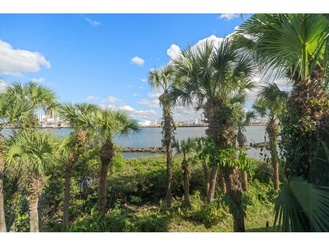 1123 Shipwatch Circle Tampa FL 33602 TB8444172 image51