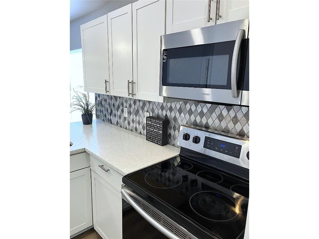 1123 Vista Palma Way Orlando FL 32825 TB8405671 image14