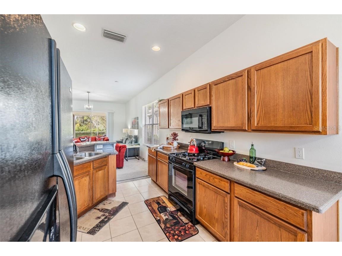 1123 Wright Swynde Court Wesley Chapel FL 33543 TB8441574 image12