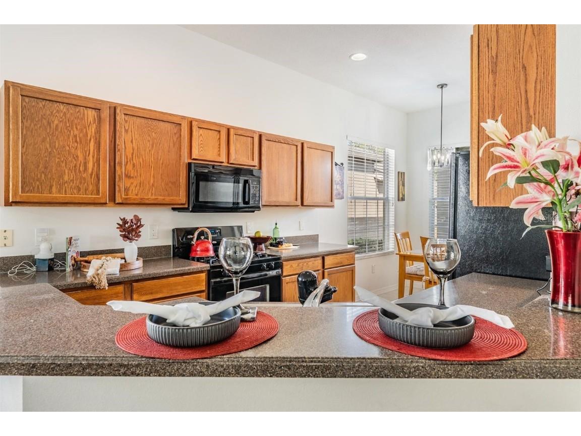 1123 Wright Swynde Court Wesley Chapel FL 33543 TB8441574 image14