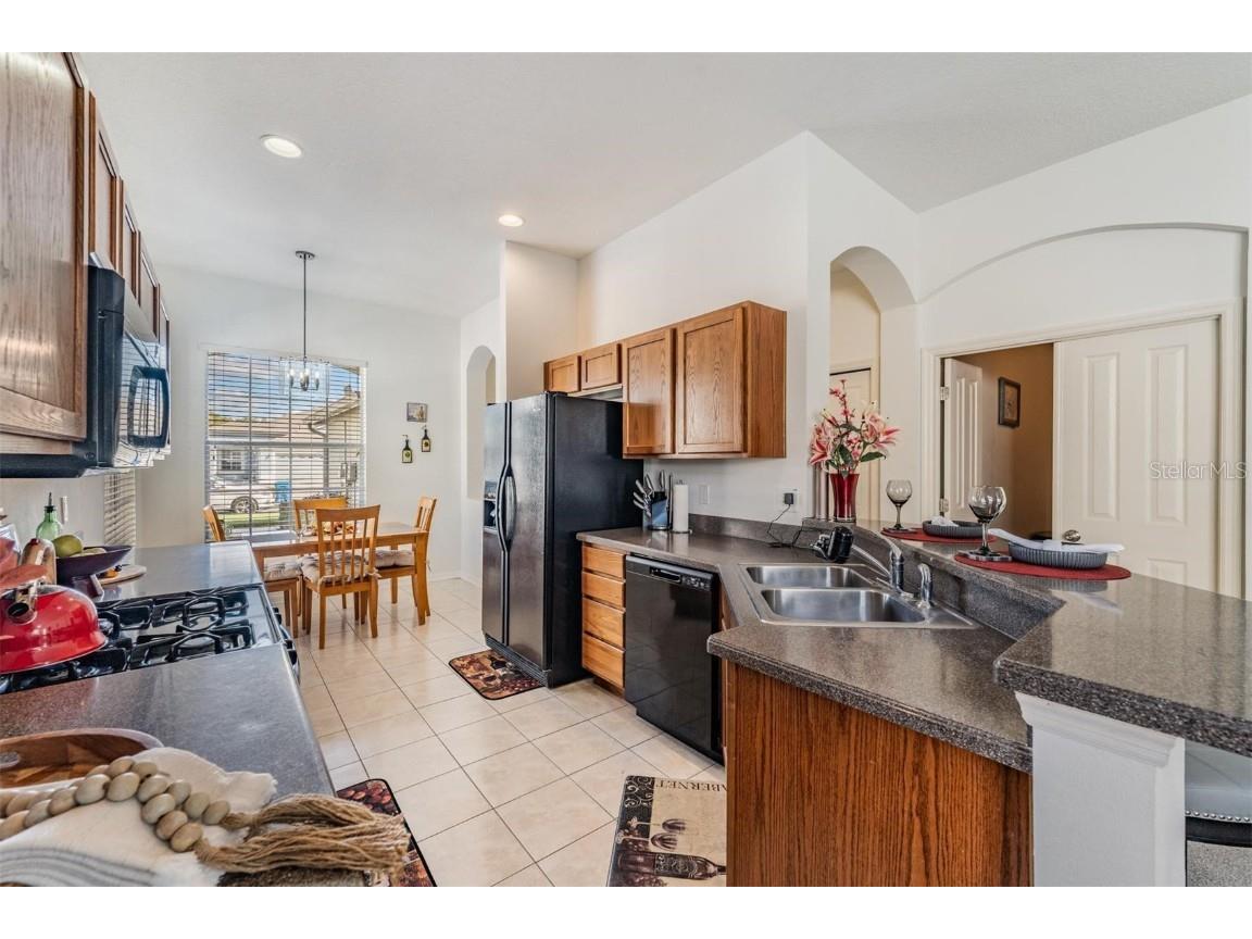 1123 Wright Swynde Court Wesley Chapel FL 33543 TB8441574 image15