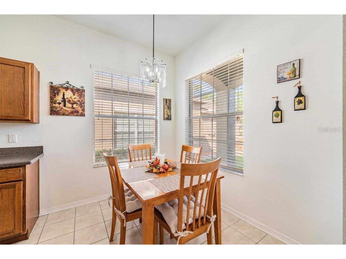 1123 Wright Swynde Court Wesley Chapel FL 33543 TB8441574 image17