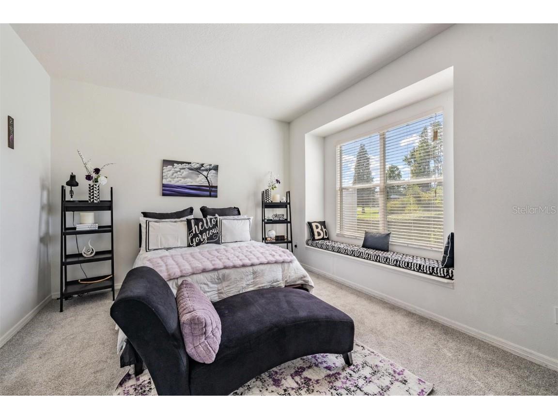 1123 Wright Swynde Court Wesley Chapel FL 33543 TB8441574 image18