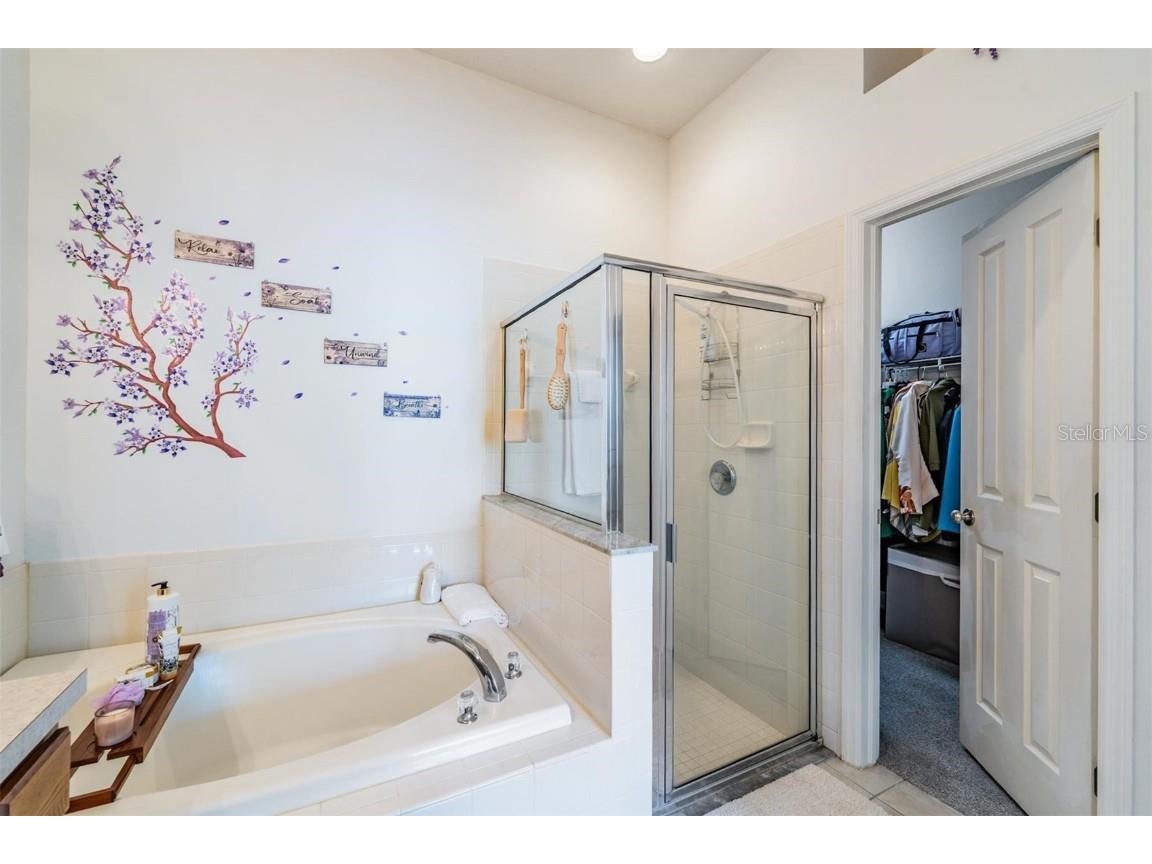 1123 Wright Swynde Court Wesley Chapel FL 33543 TB8441574 image20