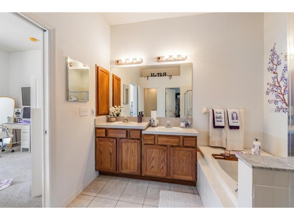 1123 Wright Swynde Court Wesley Chapel FL 33543 TB8441574 image21