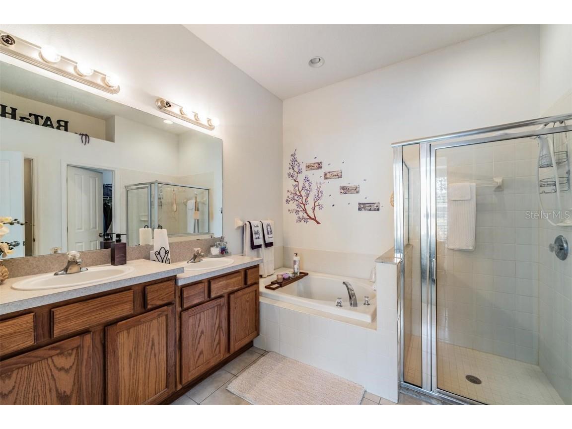 1123 Wright Swynde Court Wesley Chapel FL 33543 TB8441574 image22