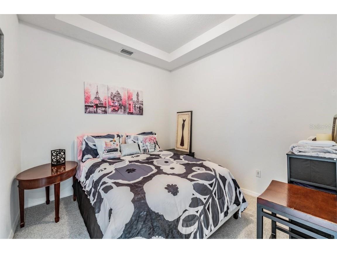 1123 Wright Swynde Court Wesley Chapel FL 33543 TB8441574 image23